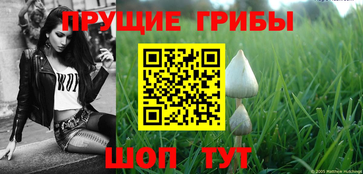 Усолье-Сибирское  Галлюциногенные грибы Magic Shrooms  Вход с VPN 